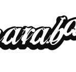 logo samara 150x141