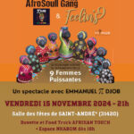 Concert de Pi Djob & AfroSoull Gang Trio et Feelin's9 : 9 femmes puissantes